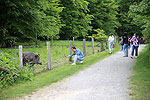 Bild 17 vergrern