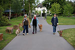 Bild 42 vergrern